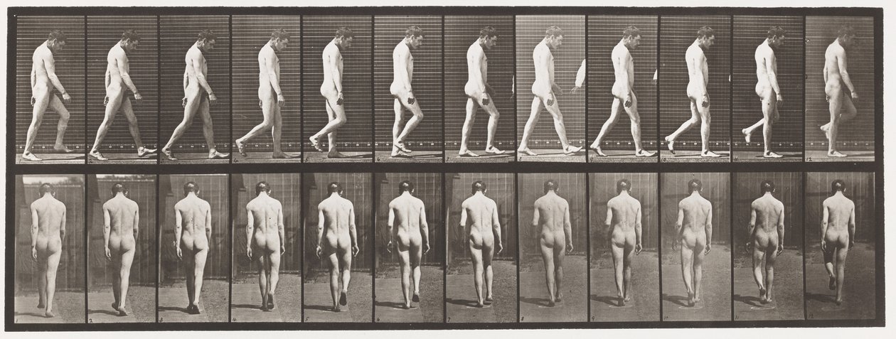 Plade 549.Epilepsi; Vandrende, 1885 af Eadweard Muybridge
