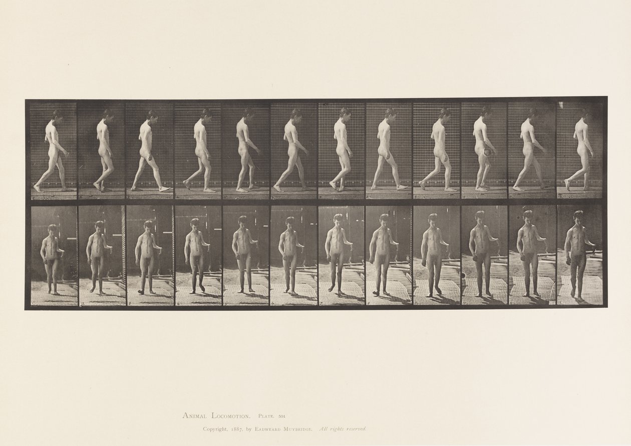 Plade 551.Epilepsi; Vandrende, 1885 af Eadweard Muybridge