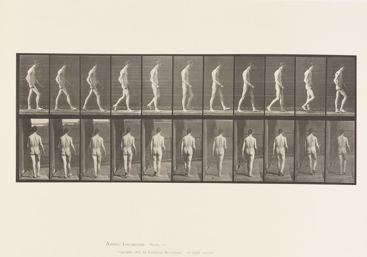 Plade 554.Locomotor Ataxia; Vandrende, 1885 af Eadweard Muybridge