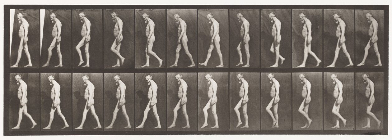 Plade 555. Muskelatrofi af ben; Voksen, A,B, gående, 1885 af Eadweard Muybridge