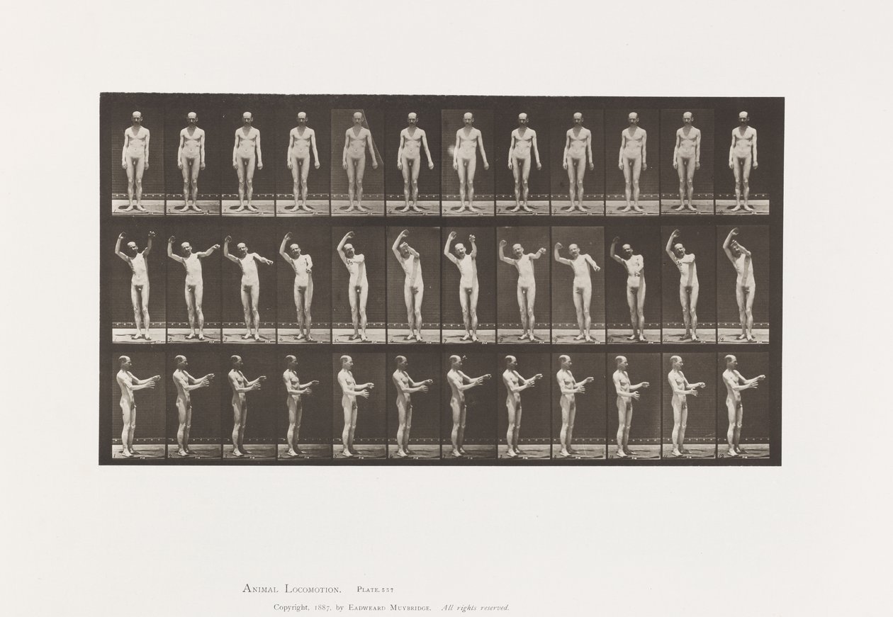 Plade 557.Lokal Chorea; A, B, C, mens du står, 1885 af Eadweard Muybridge