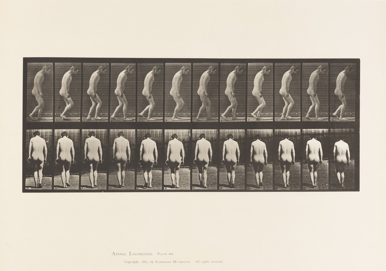 Tavle 558. Paraplegi; Delvis; Vandrende, 1885 af Eadweard Muybridge