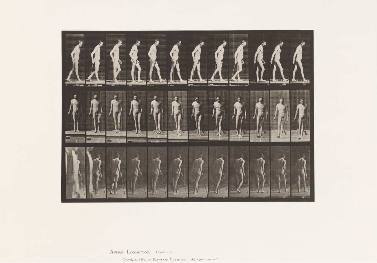 Plade 559. Dissemineret Sclerose; Gåtur med Cane af Eadweard Muybridge