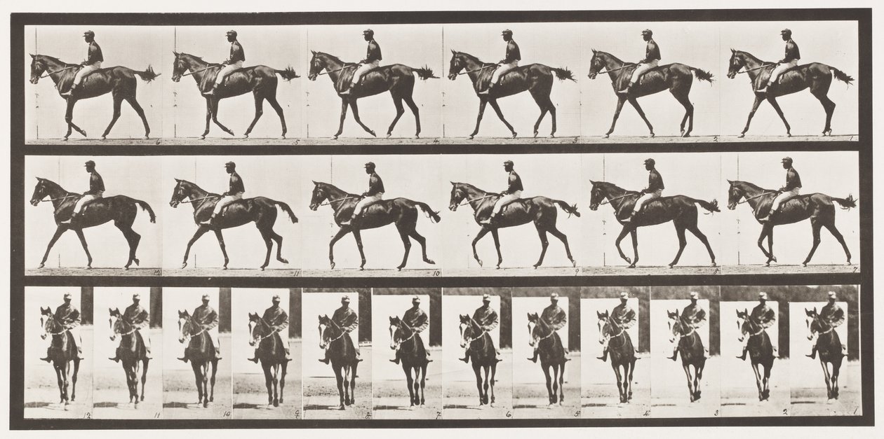 Tallerken 580.Gående; Sadel; Fuldblods Bay Hoppe Annie G., 1885 af Eadweard Muybridge