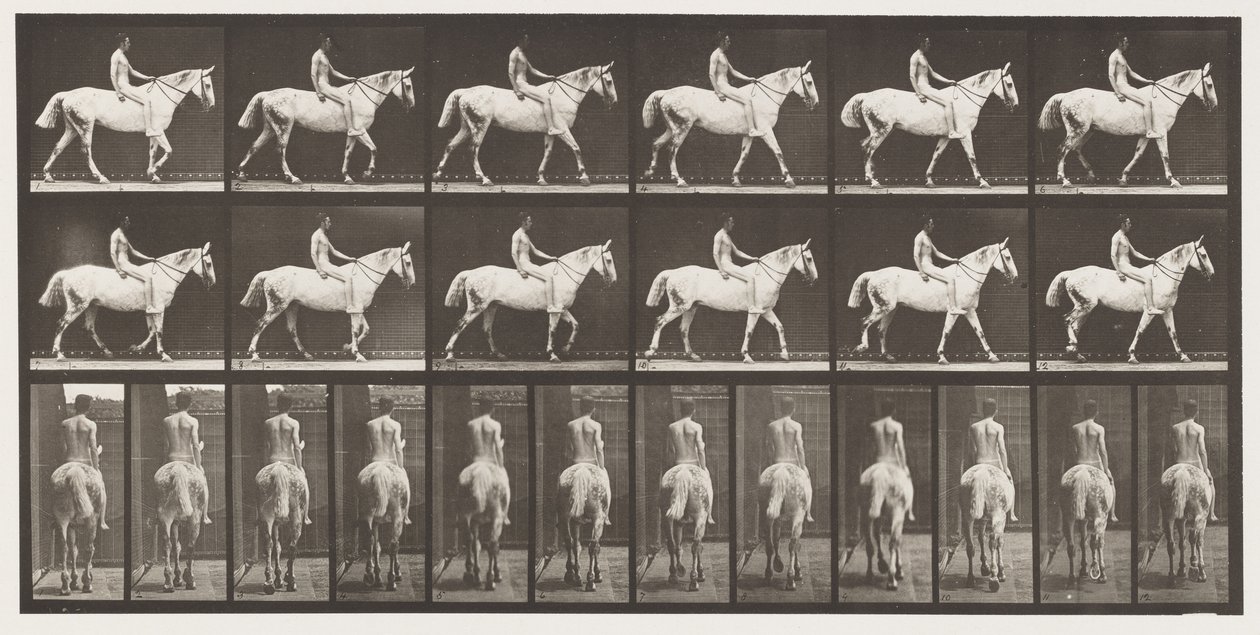 Plade 581.Walking;Bareback;Rider,43, Nøgen; Lysgrå hest Smith, 1885 af Eadweard Muybridge