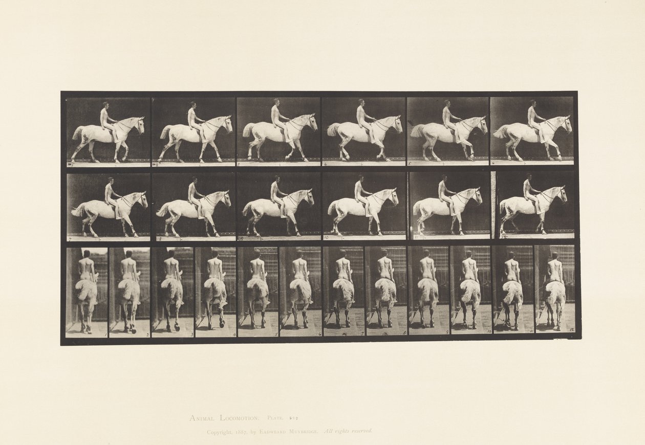 Plade 582. Gang;Sadel; Rytter, 43, Nøgen; Lysegrå Heste Smith af Eadweard Muybridge