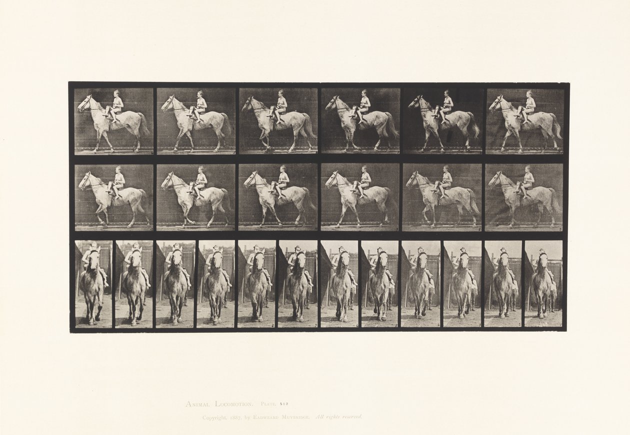 Tallerken 583.Gående; Sadel; Kvindelig Rytter; Nøgen; Grey Horse Tan, 1885 af Eadweard Muybridge