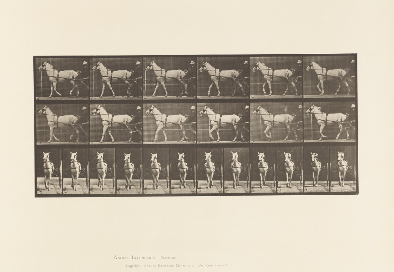 Tallerken 586.Gående; Sulky; Lysegrå Hoppe, Katydid, 1885 af Eadweard Muybridge