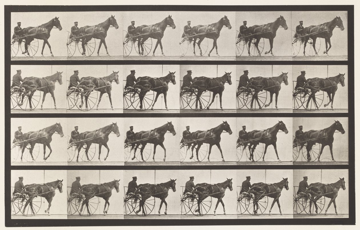 Tavle 587.Gående; Sulky; Sorrel Mare Nellie Rose, 1885 af Eadweard Muybridge