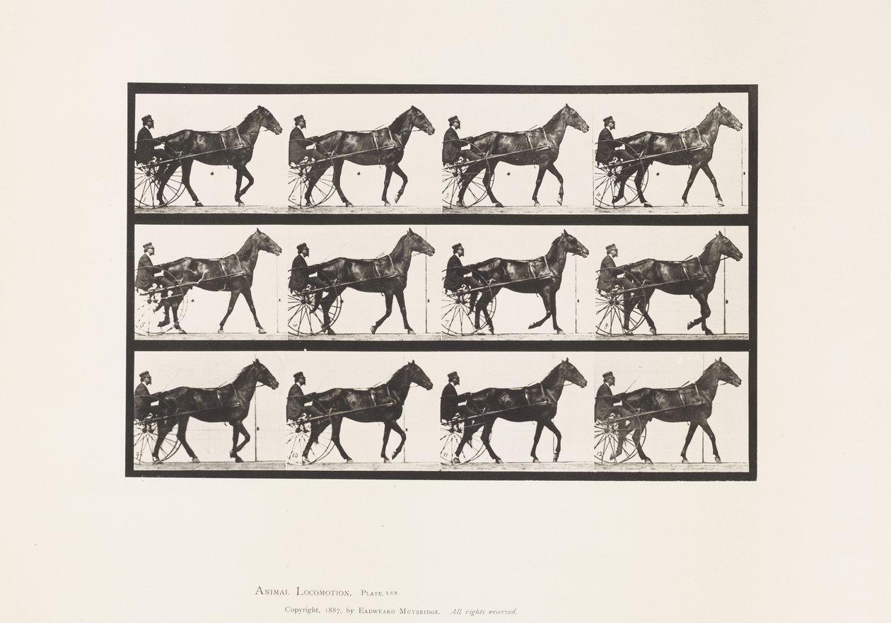 Tallerken 588.Gående; Sulky; Bay Horse Reuben, 1885 af Eadweard Muybridge