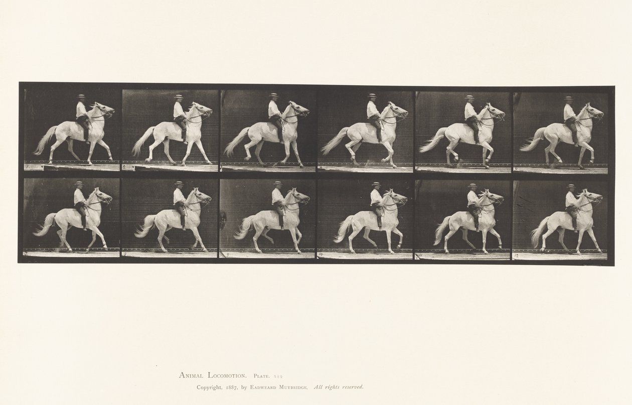 Plade 589.Ambling af Eadweard Muybridge