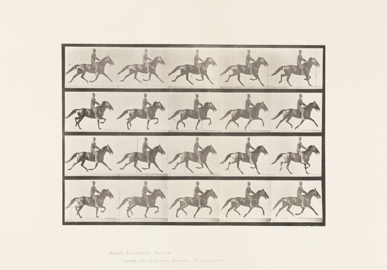 Plade 591.Vyngende af Eadweard Muybridge