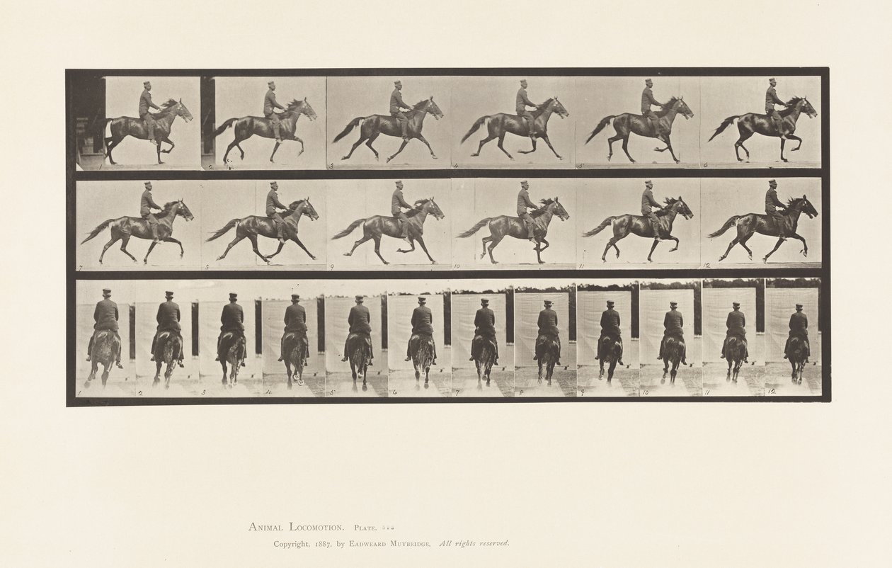 Plade 592. Gynge (Pacing): Sadel; Brun Hest Pronto af Eadweard Muybridge