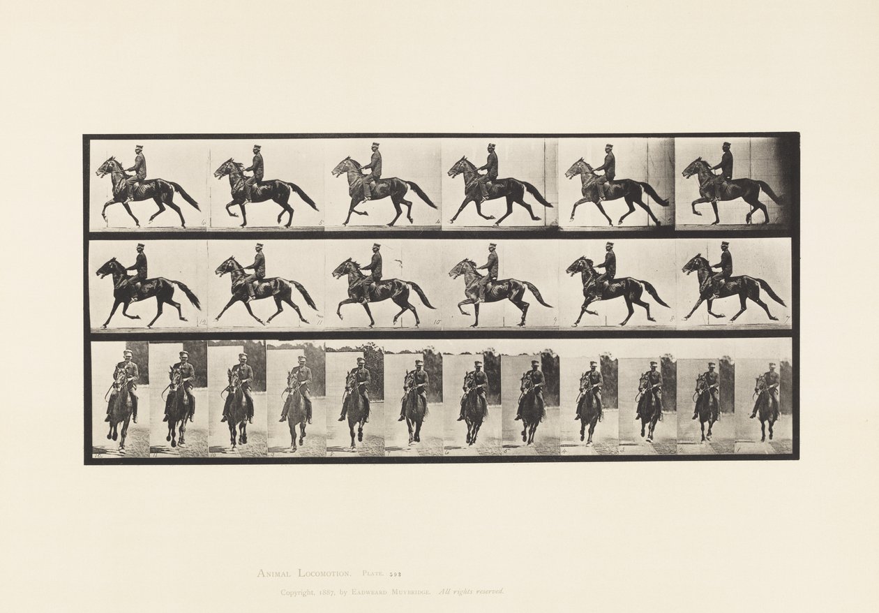 Plade 593. Gynge (Pacing): Sadel; Brun Hest Pronto af Eadweard Muybridge