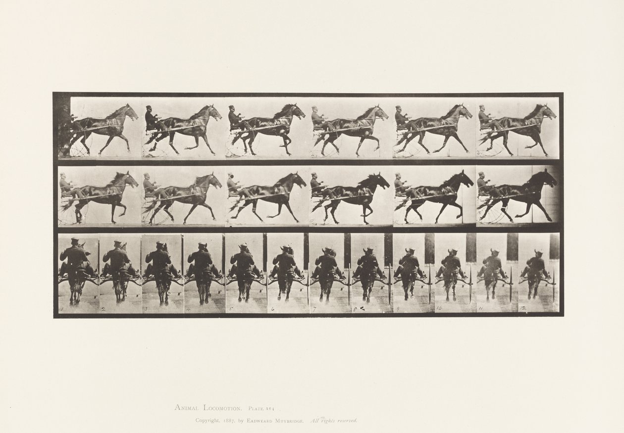 Plade 594. Vyngende (Pacing): Sulky; Brun Hest Pronto af Eadweard Muybridge