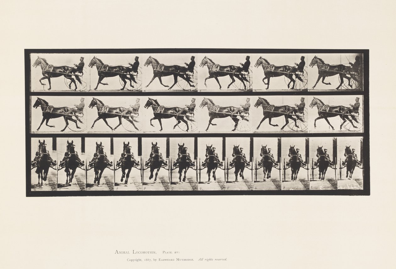 Plade 595. Vyngende (Pacing): Sulky; Brun Hest Pronto af Eadweard Muybridge