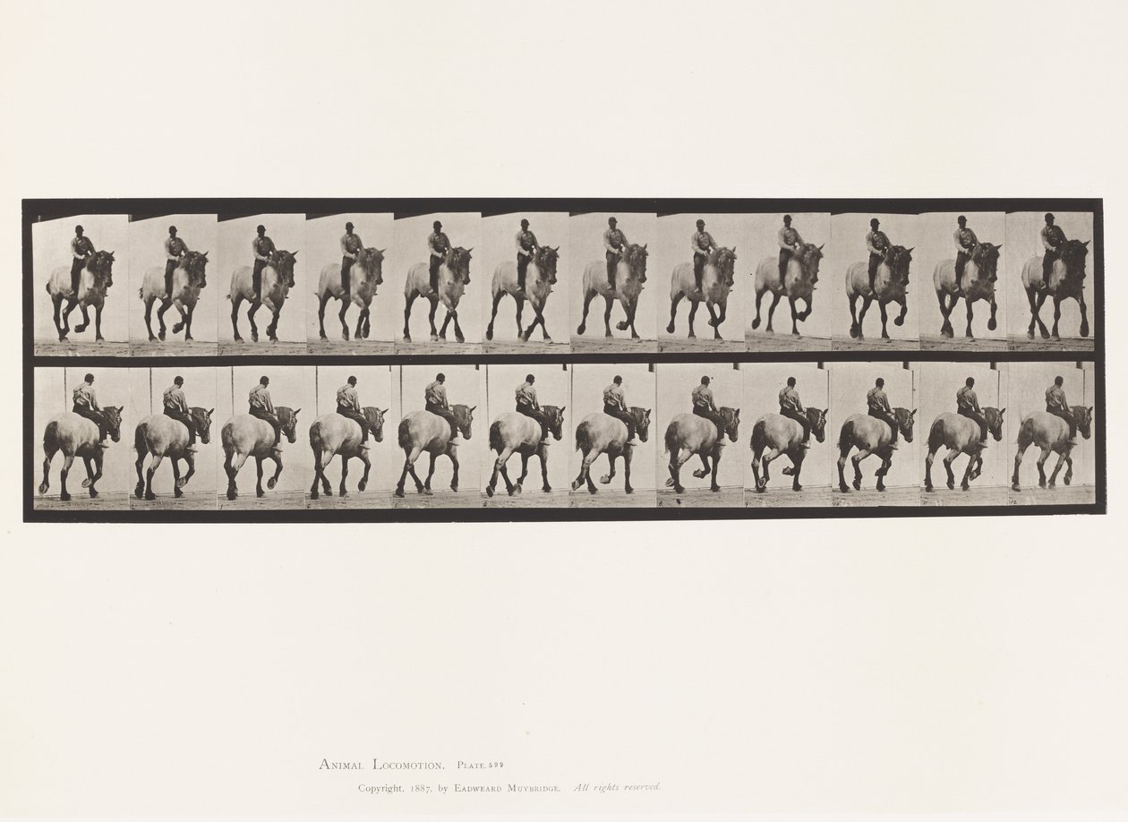 Tallerken 599. Trav; Bareback; Mørkegrå Dusel af Eadweard Muybridge