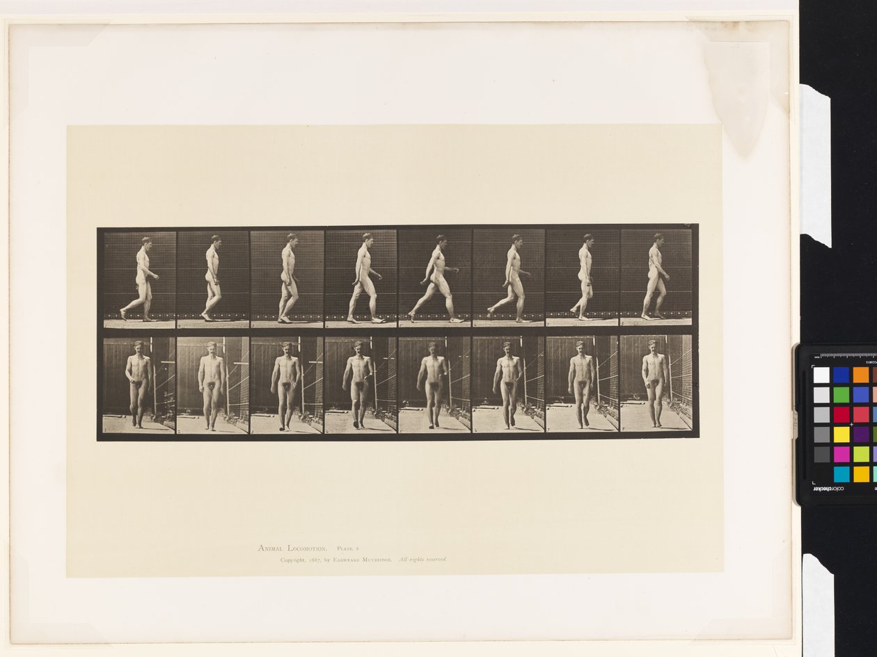 Plade 5.Gå af Eadweard Muybridge