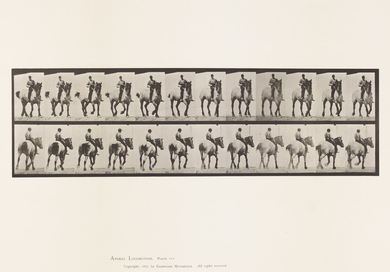 Tallerken 600. Trav; Bareback; Mørkegrå Dusel af Eadweard Muybridge