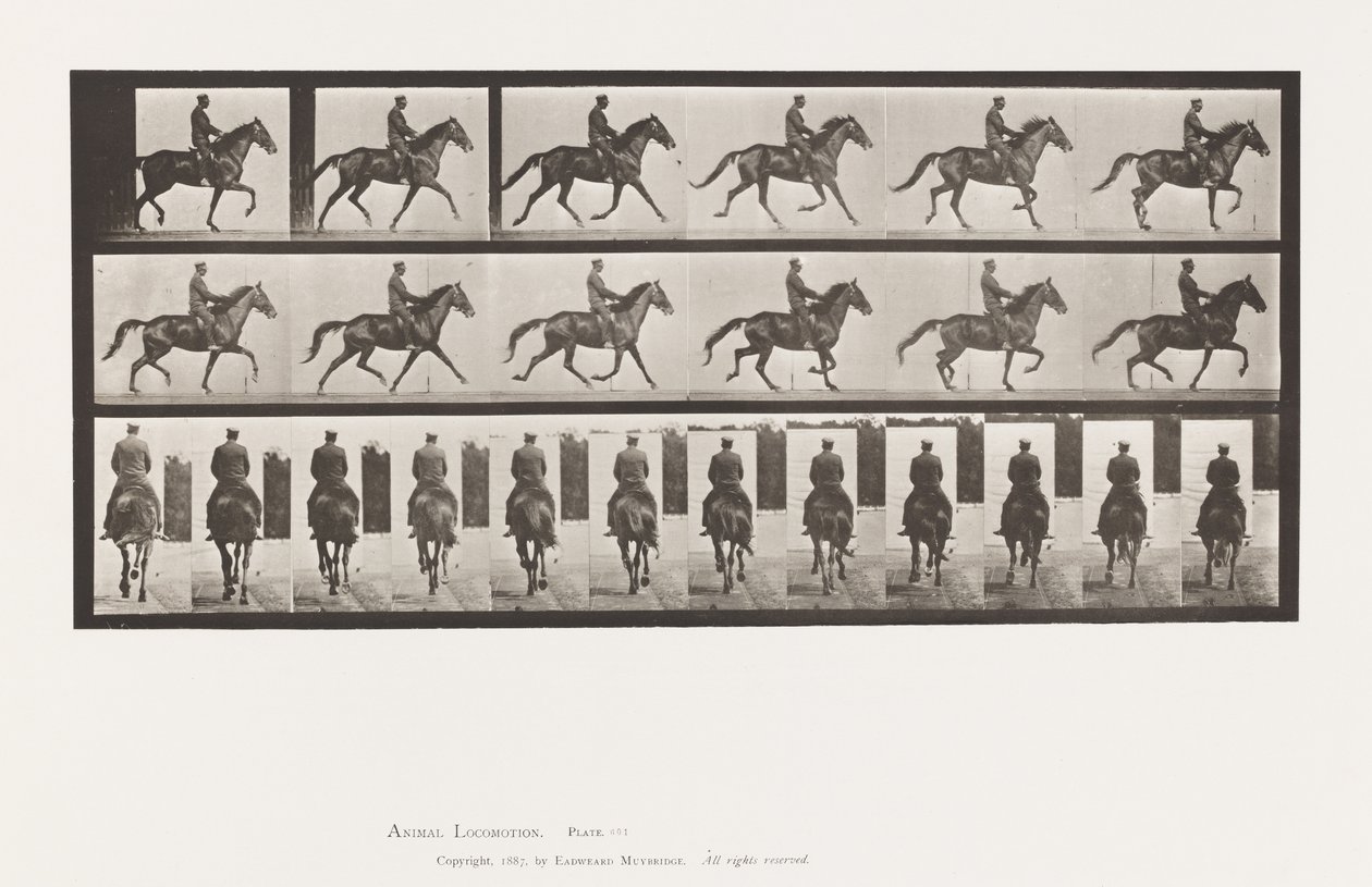 Tallerken 601. Trav; Sadel; Brun Hoppe skønhed af Eadweard Muybridge