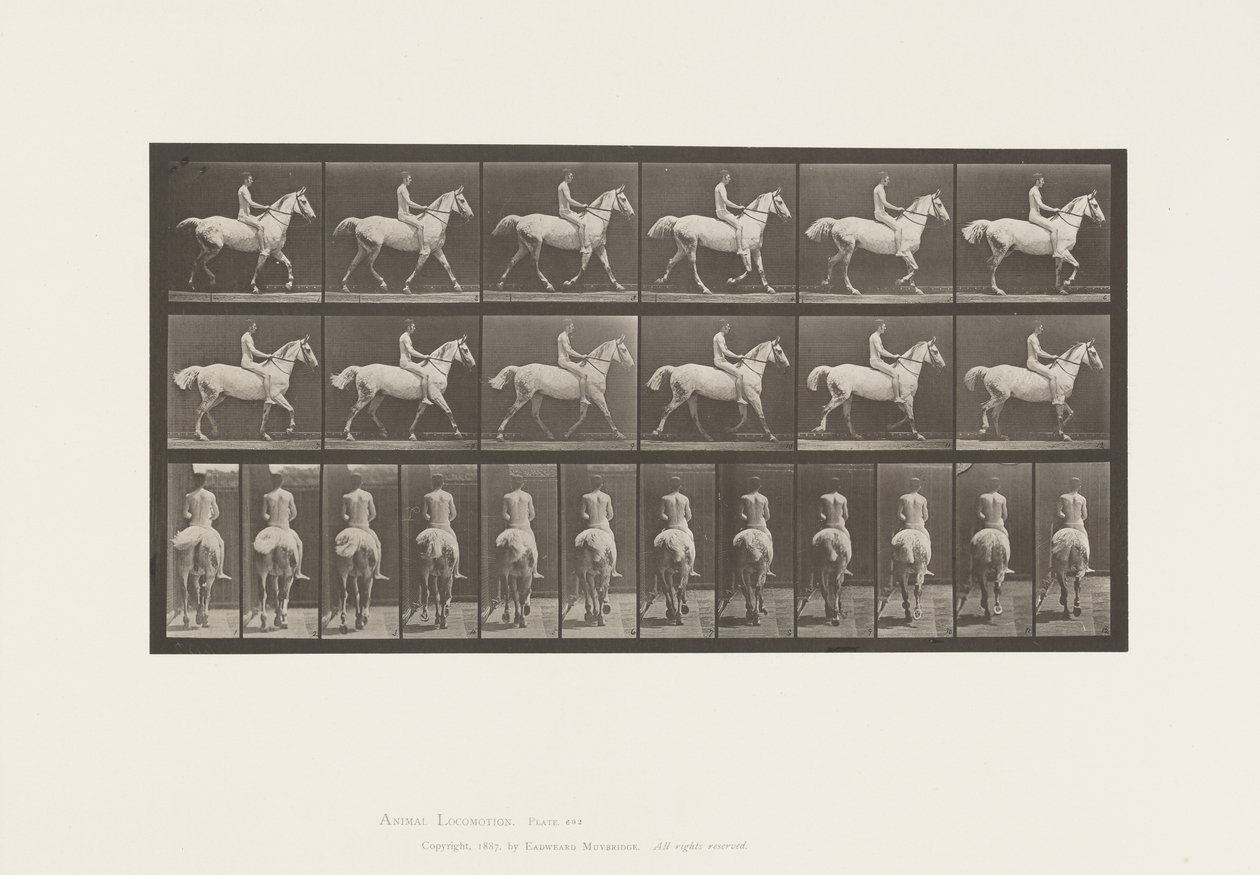 Plade 602.Trav;Bareback; Rytter, 43, nøgen; lysgrå hest Smith, 1885 af Eadweard Muybridge