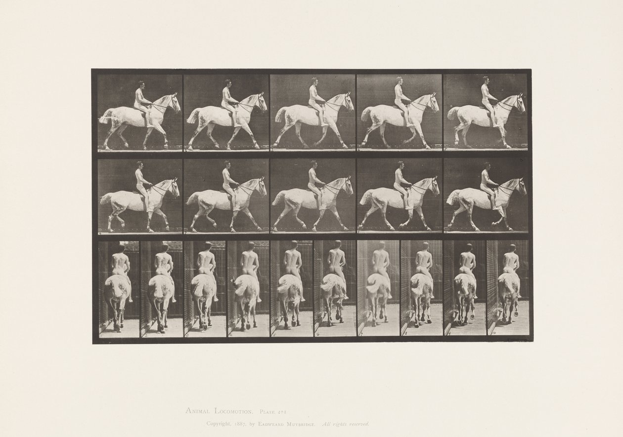 Tallerken 603. Trav; Sadel; Ride, 43, bred, lysegrå hest Smith af Eadweard Muybridge