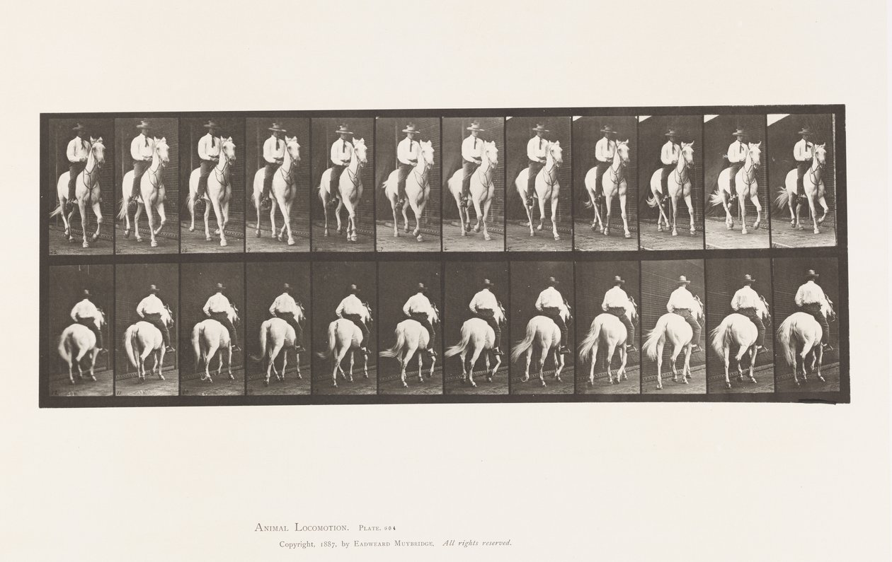 Tallerken 604. Trav; Sadel; White Horse, Elberon af Eadweard Muybridge