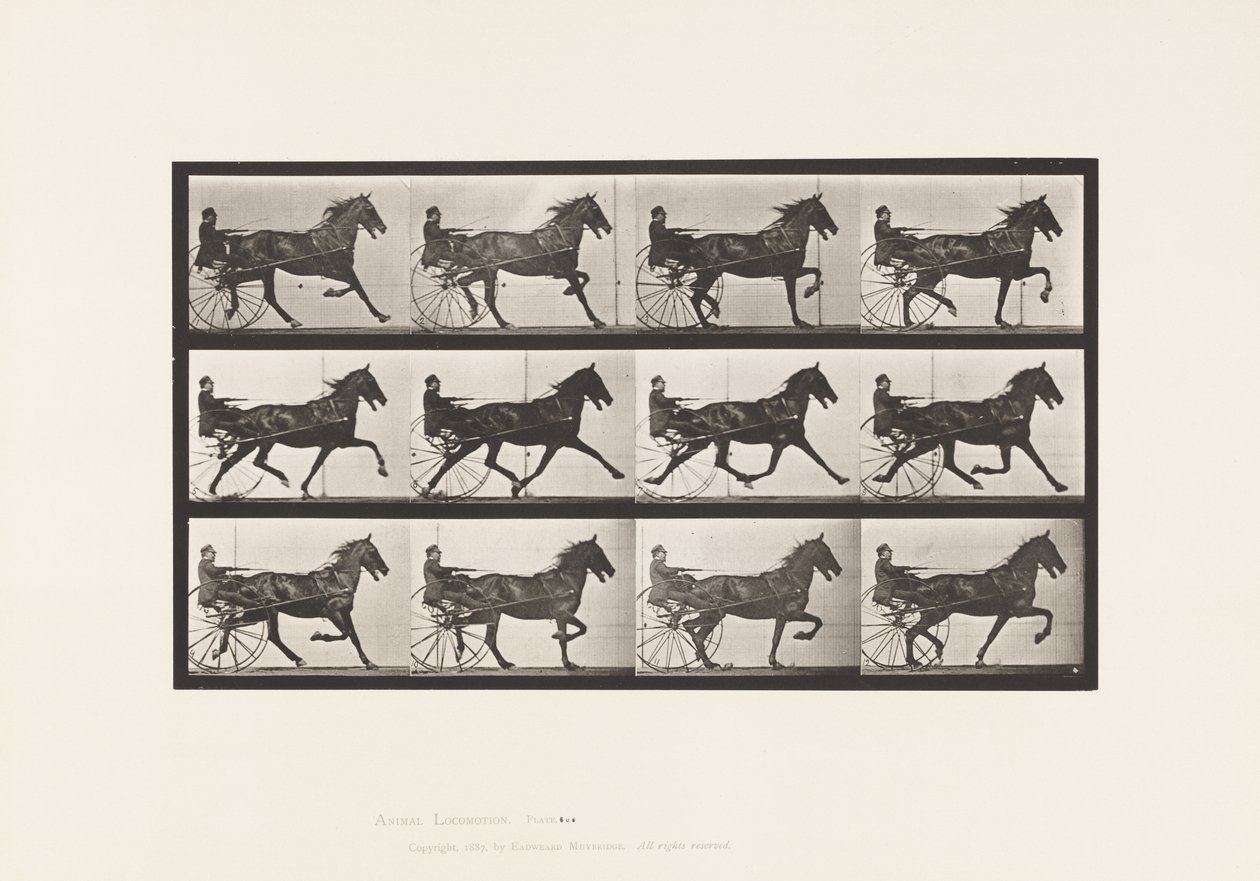 Tallerken 606. Trav; Sulky; Bay Horse, Ruben af Eadweard Muybridge
