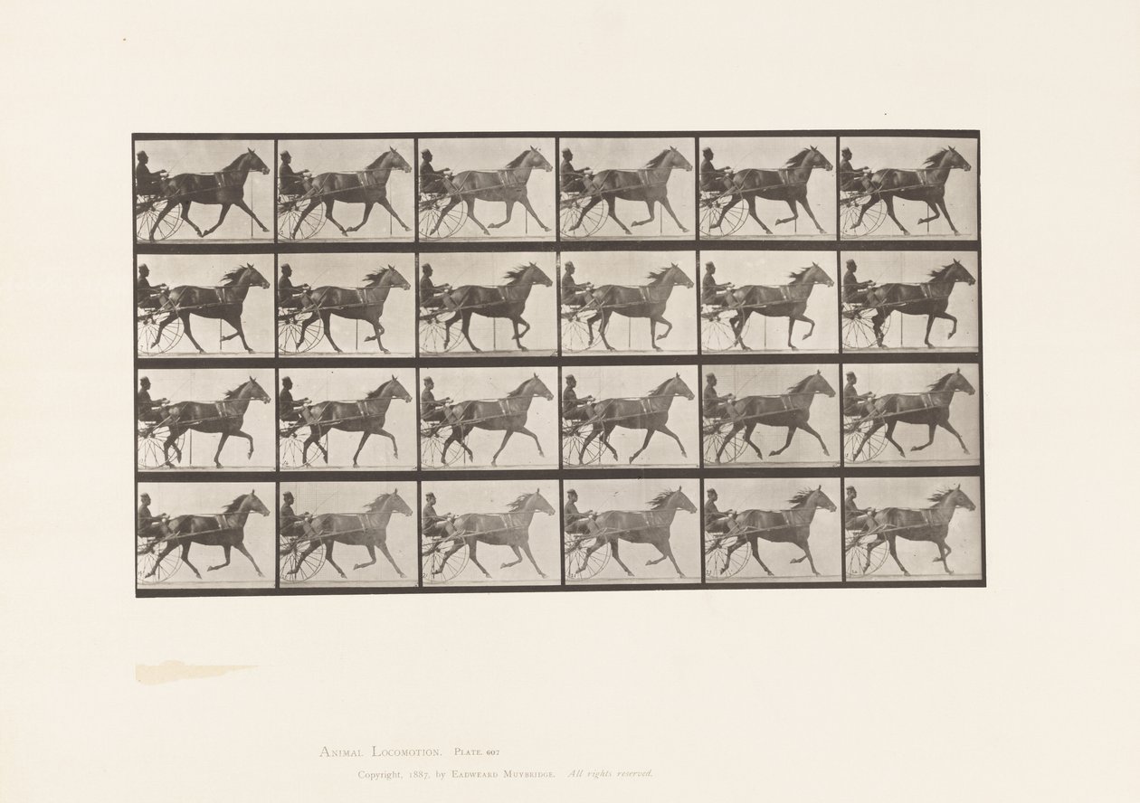 Tallerken 607. Trav; Sulky; Bay Mare, Lizzie M. af Eadweard Muybridge