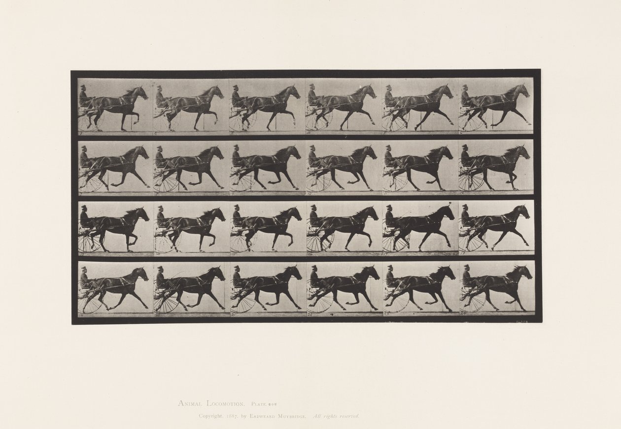 Tallerken 608. Trav; Sulky; Sorrel Hoppe, Flode Holden af Eadweard Muybridge