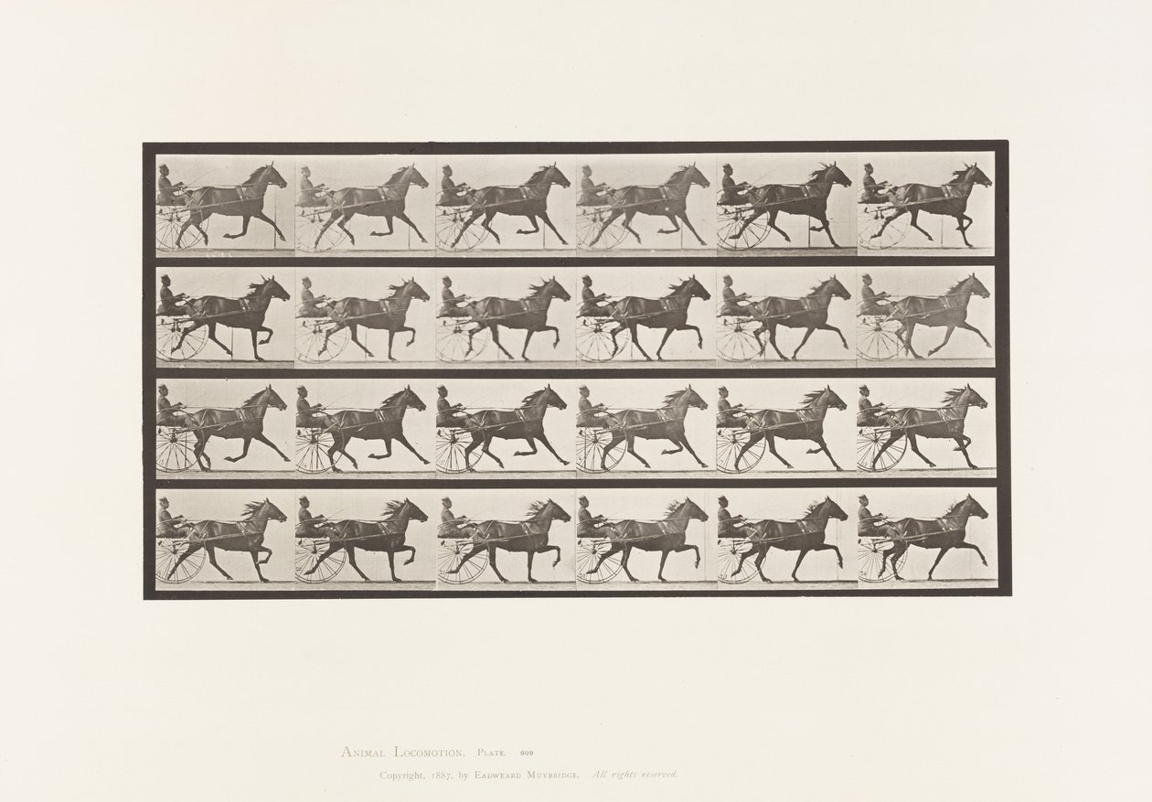 Tallerken 609. Trav; Sulky; Bay Mare, Lizzie M. af Eadweard Muybridge