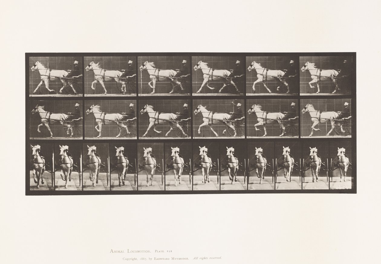 Tallerken 610. Trav; Sulky; Grå Hoppe, Katydid af Eadweard Muybridge