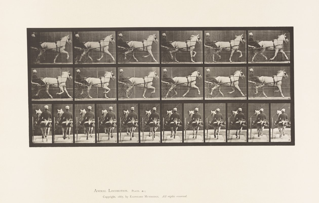 Tallerken 611. Trav; Sulky; Grå Hoppe, Katydid af Eadweard Muybridge