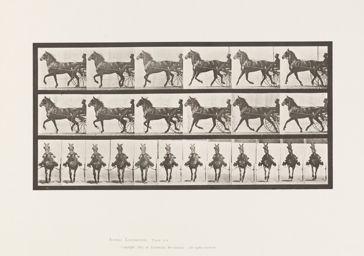 Tallerken 612. Trav; Sulky; Bay Horse, Dereumd af Eadweard Muybridge