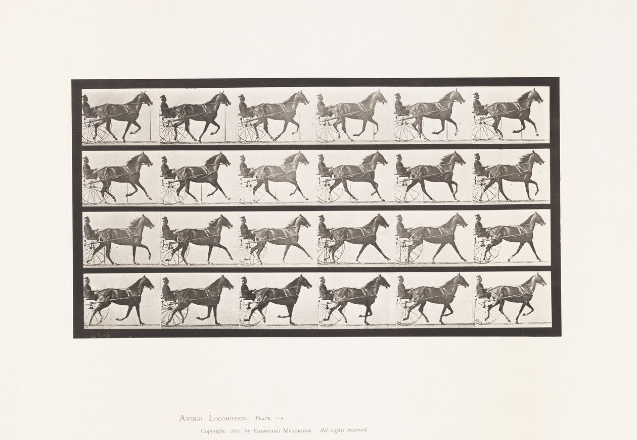 Tallerken 614. Trav; Bryde til Galop; Sorrel Hoppe Flode Holden af Eadweard Muybridge