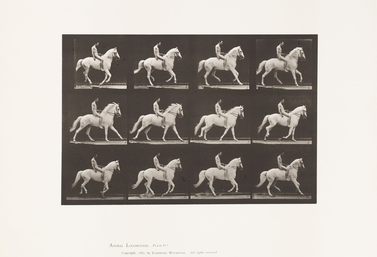 Tavle 617. Galop; Bareback; Rytter, 106, nøgen; White Horse Clinton, 1885 af Eadweard Muybridge