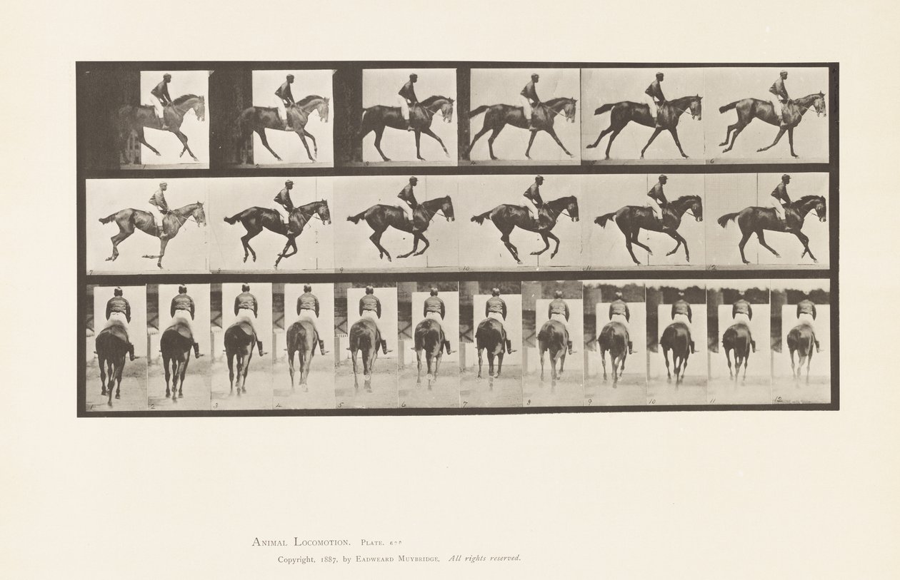 Tavle 620. Galop; Sadel; Fuldblods Bay Mare Annie 6. af Eadweard Muybridge