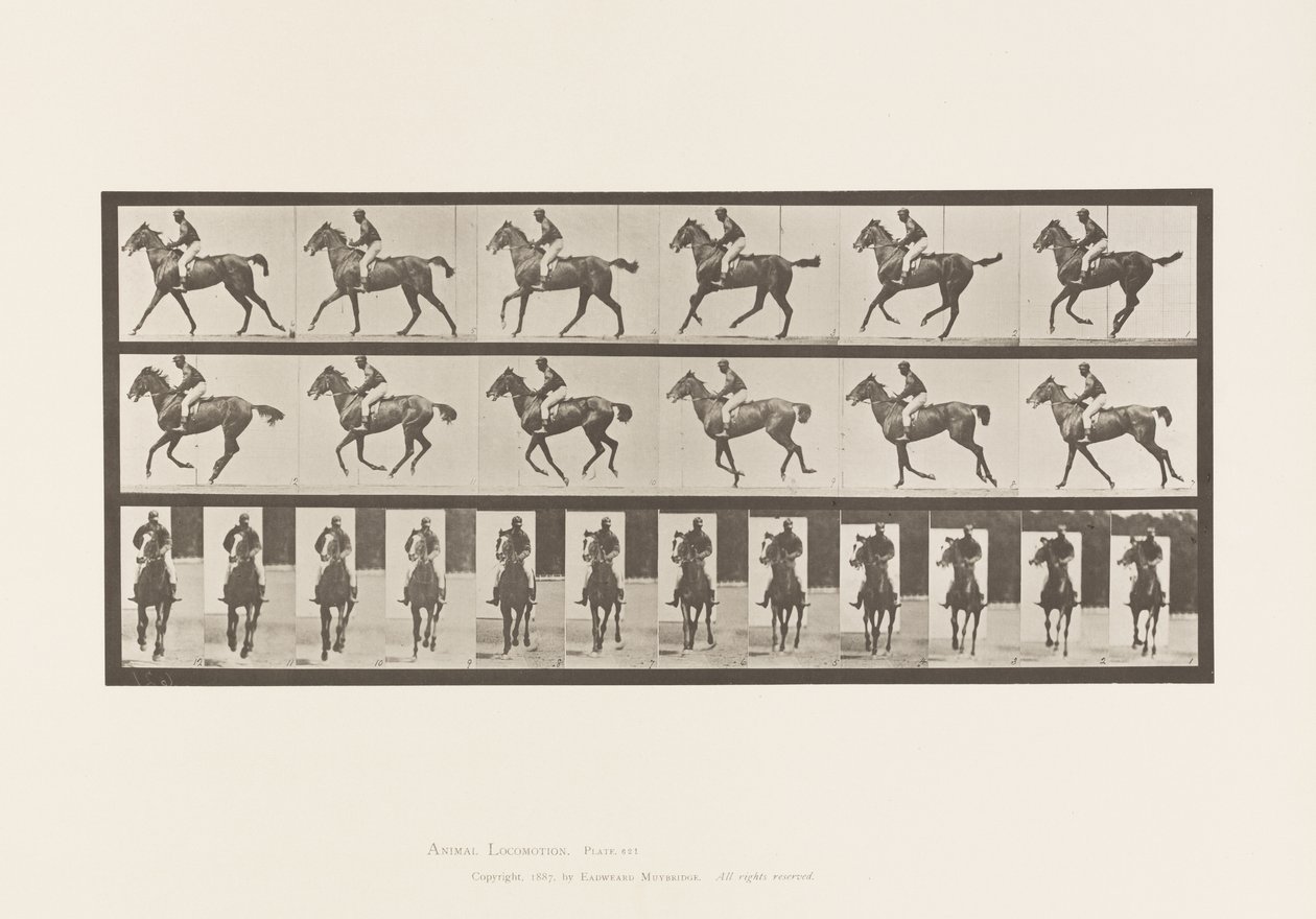 Tavle 621. Galop; Sadel; Fuldblods Bay Mare Annie 6 af Eadweard Muybridge