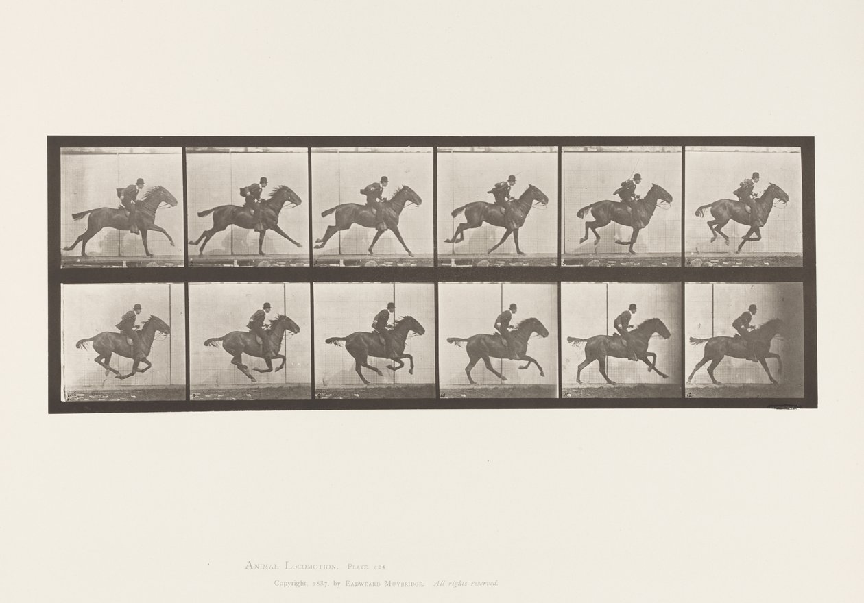 Tallerken 624. Galop; Sadel; Bay Horse Daisy af Eadweard Muybridge
