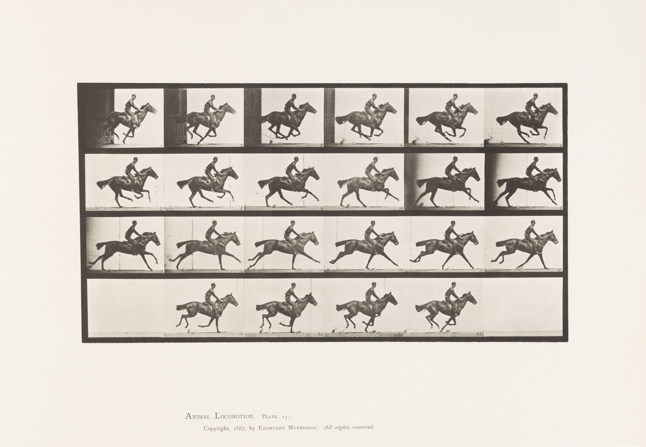 Tallerken 625. Galop; Fuldblods Bay Hestebuket af Eadweard Muybridge