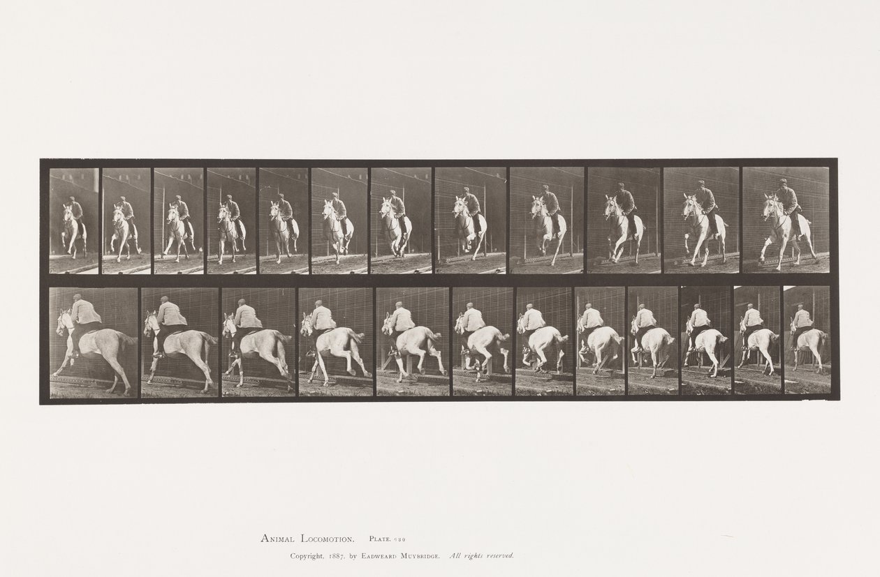 Tallerken 630. Galop; Sadel; Grå Hoppe Pandora af Eadweard Muybridge