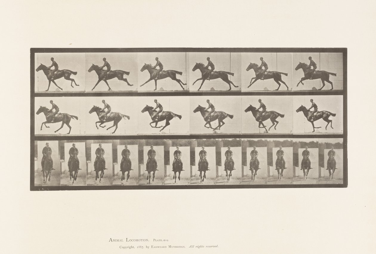 Tallerken 631. Galop; Sadel; Fuldblods Bay Hestebuket af Eadweard Muybridge