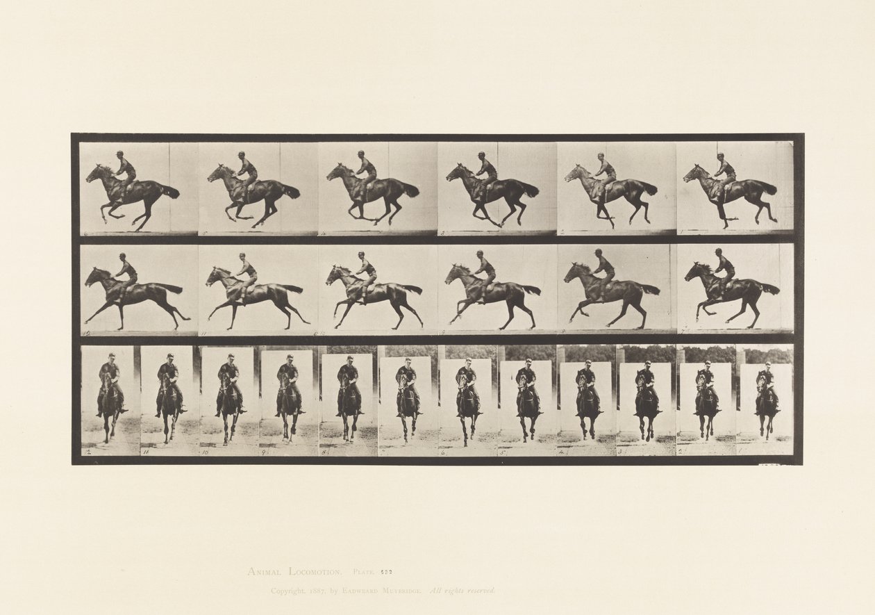 Tallerken 632. Galop; Sadel; Fuldblods Bay Hestebuket af Eadweard Muybridge