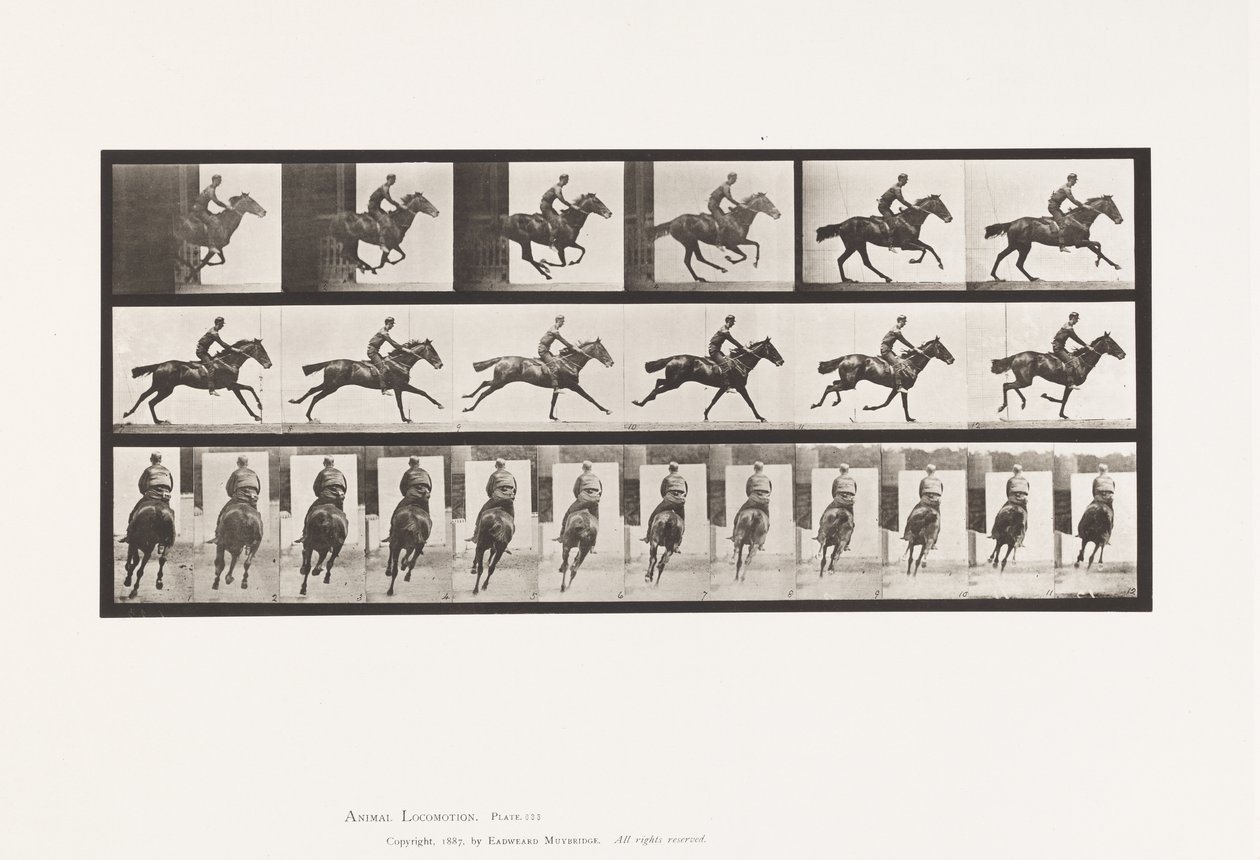 Tallerken 633. Galop; Sadel; Fuldblods Bay Hestebuket af Eadweard Muybridge