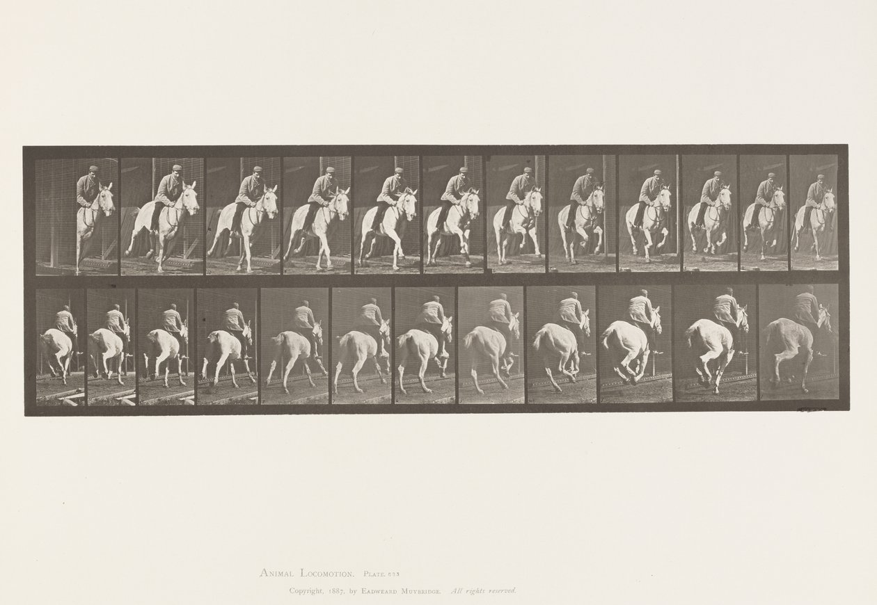 Tallerken 635. Galop; Sadel; Grå Hoppe, Pandora af Eadweard Muybridge