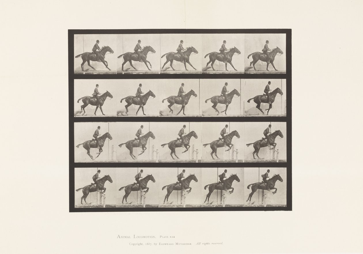 Tavle 636. Springer en Hurdle; Sadel; Forberedelse til springet af Eadweard Muybridge