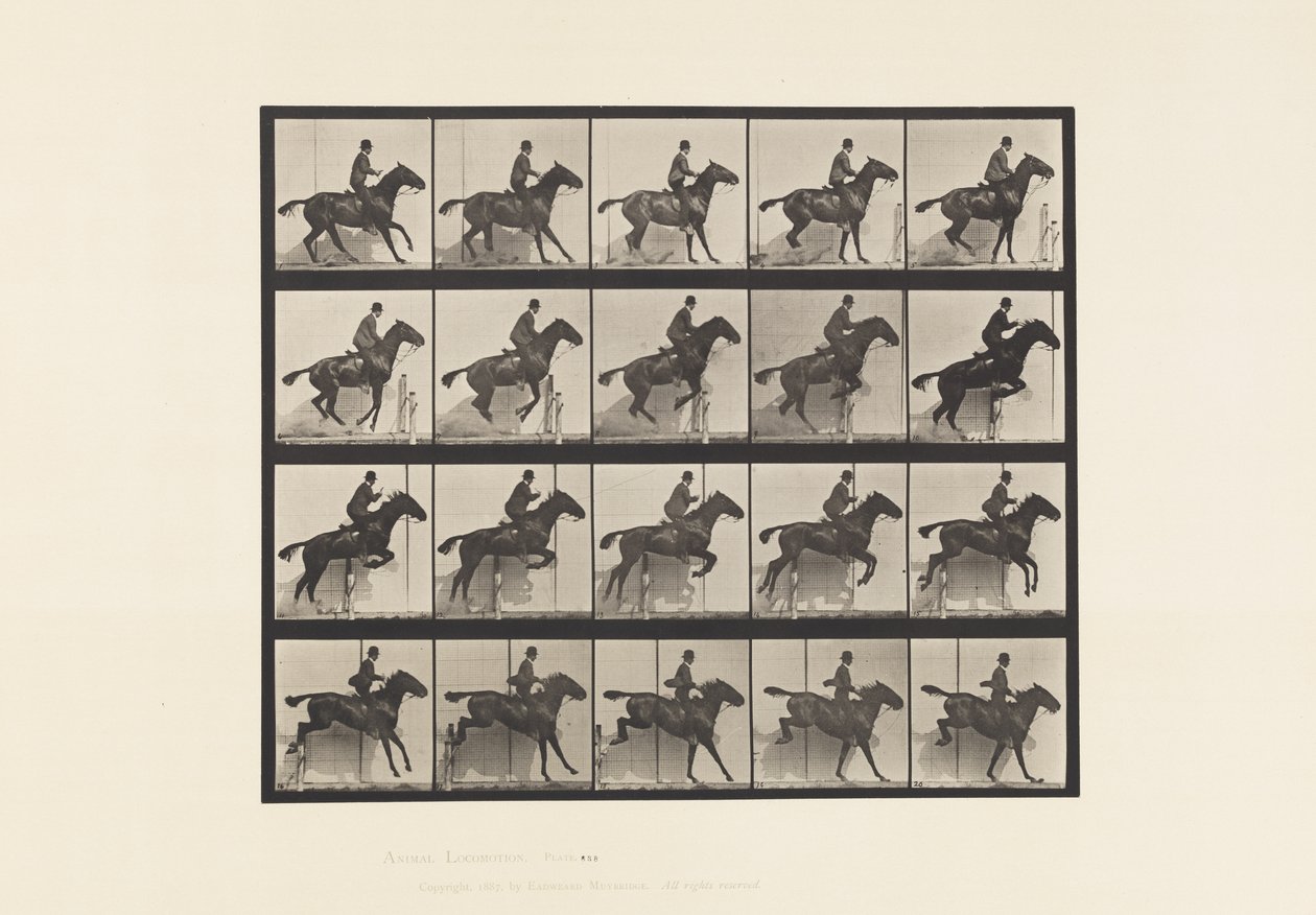 Tavle 638. Springer en Hurdle; Sadel; Bay Horse Daisy af Eadweard Muybridge