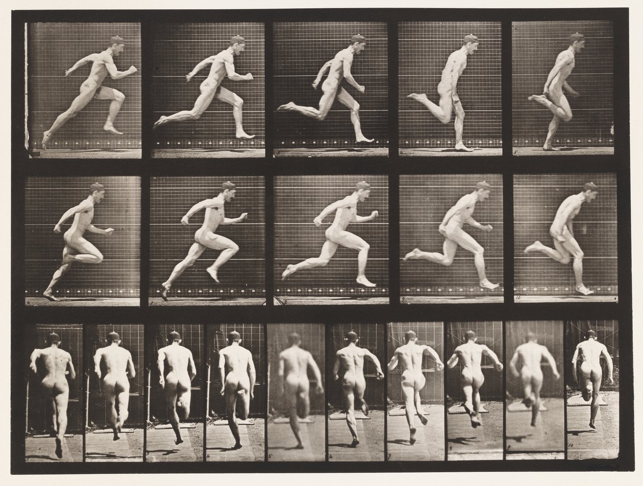 Plade 63. Kører i fuld fart. af Eadweard Muybridge
