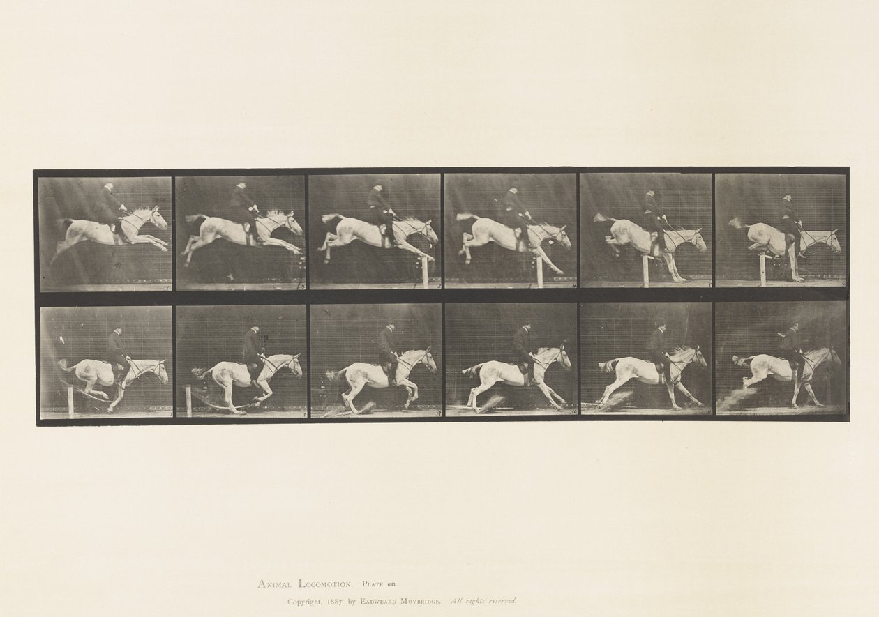 Tavle 641. Springer en Hurdle; Sadel; Banke over hurdle og af Eadweard Muybridge