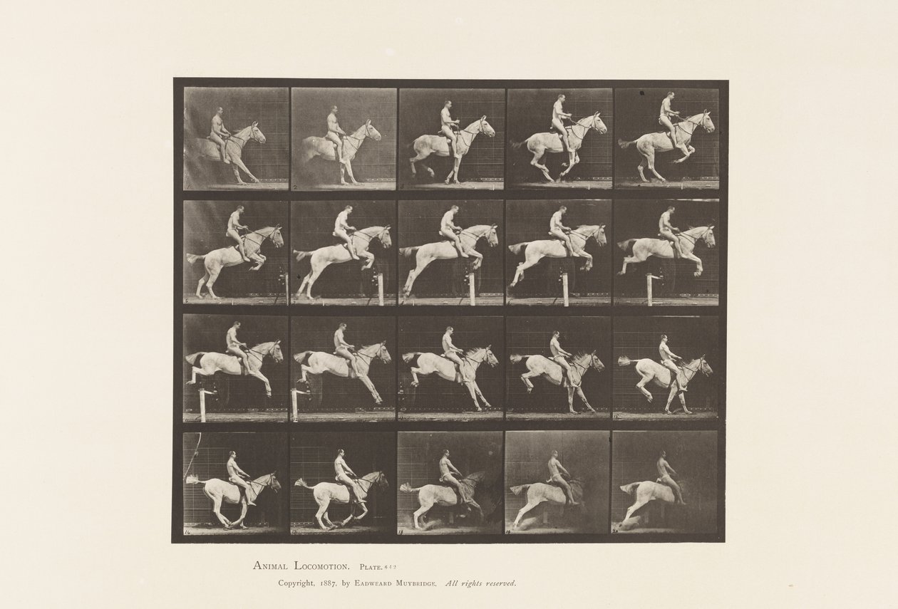 Tavle 642. Springer en Hurdle; Sadel; Rytter, 105, Nøgen; Grå Hoppe, 1885 af Eadweard Muybridge